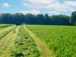 Biohof Büsch - Acker- und Futterbau